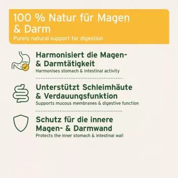 Ulmenrinde - 100 g